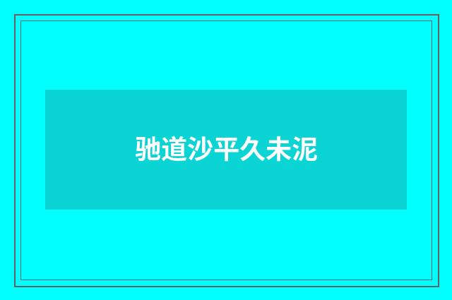 驰道沙平久未泥