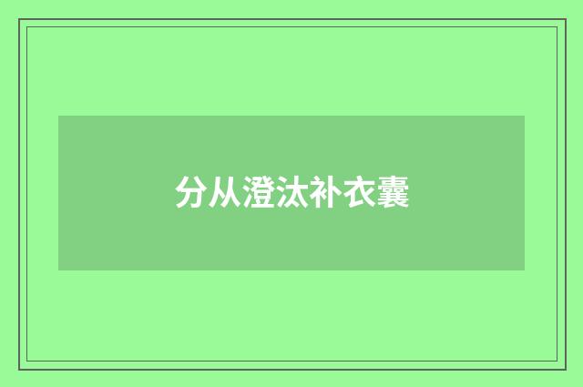 分从澄汰补衣囊