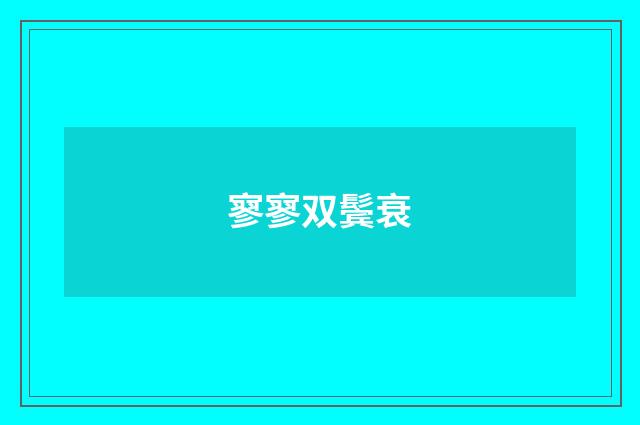 寥寥双鬓衰