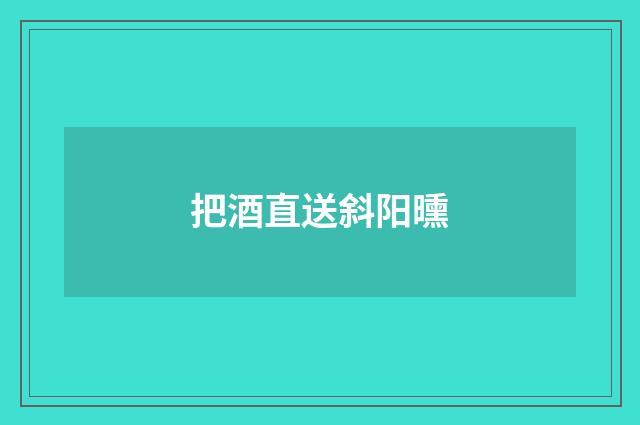 把酒直送斜阳曛