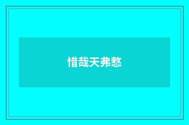 惜哉天弗憗