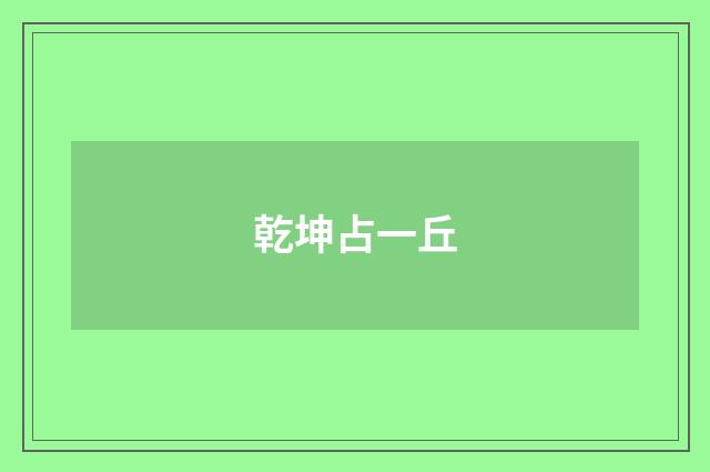 乾坤占一丘