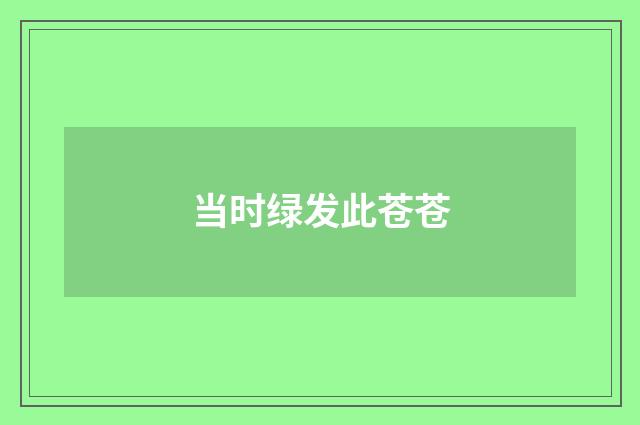 当时绿发此苍苍