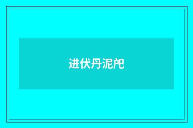进伏丹泥戺