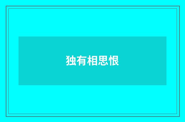 独有相思恨