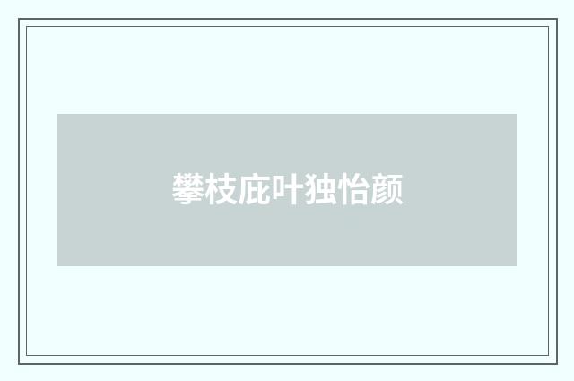 攀枝庇叶独怡颜