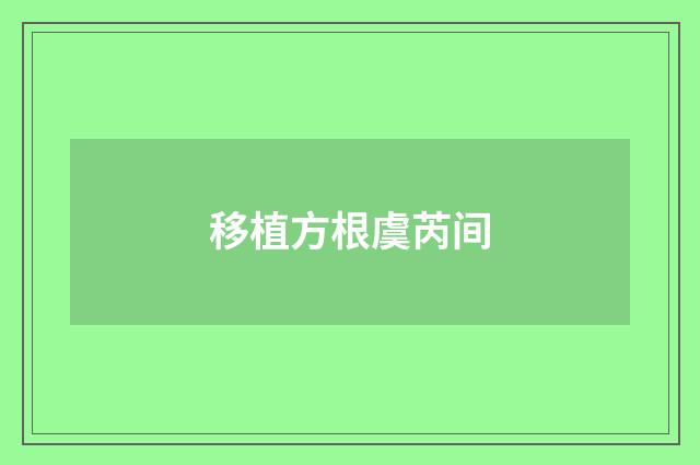 移植方根虞芮间