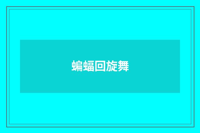 蝙蝠回旋舞