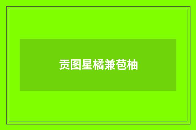 贡图星橘兼苞柚