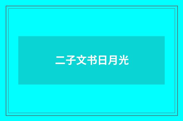 二子文书日月光
