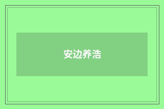 安边养浩