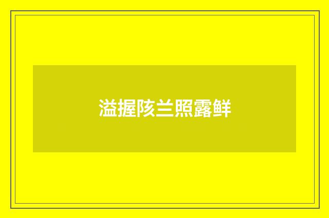 溢握陔兰照露鲜