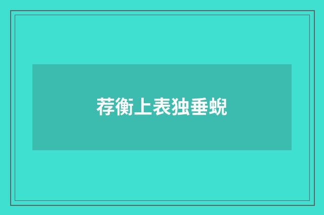 荐衡上表独垂蜺