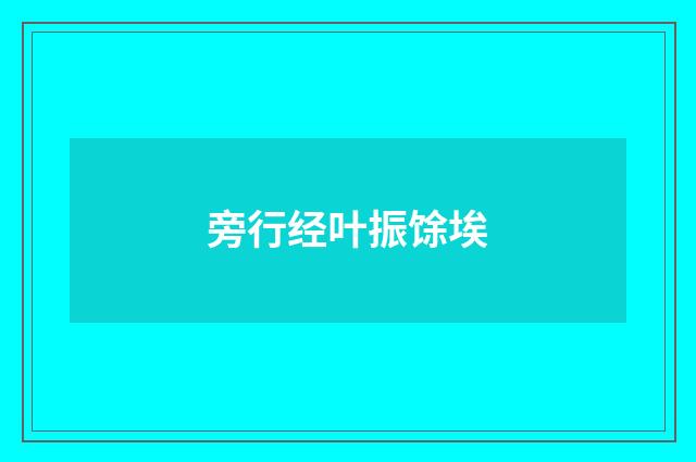 旁行经叶振馀埃