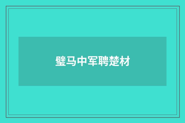 璧马中军聘楚材