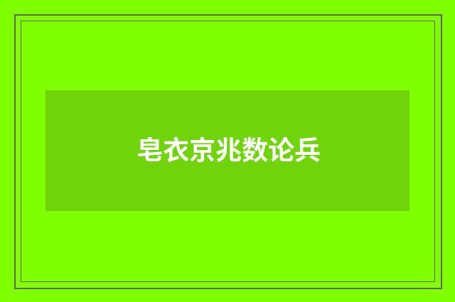 皂衣京兆数论兵