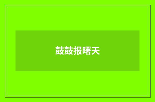 鼓鼓报曙天