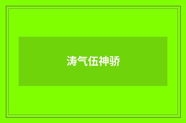 涛气伍神骄