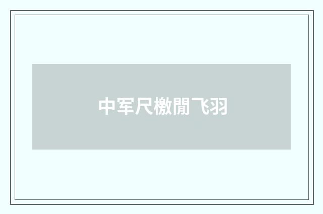 中军尺檄閒飞羽