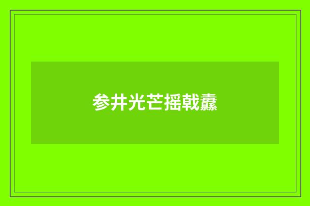 参井光芒摇戟纛