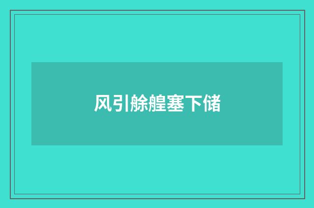风引艅艎塞下储
