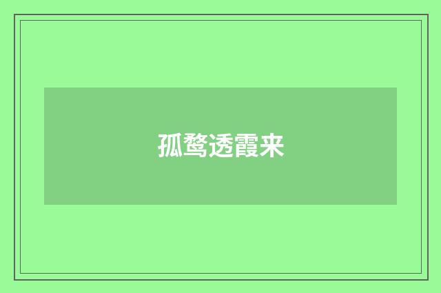 孤鹜透霞来