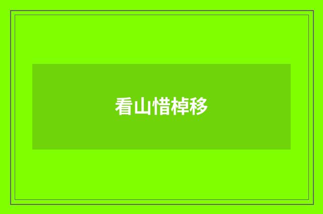 看山惜棹移