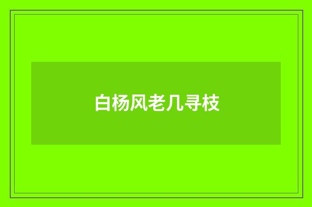 白杨风老几寻枝