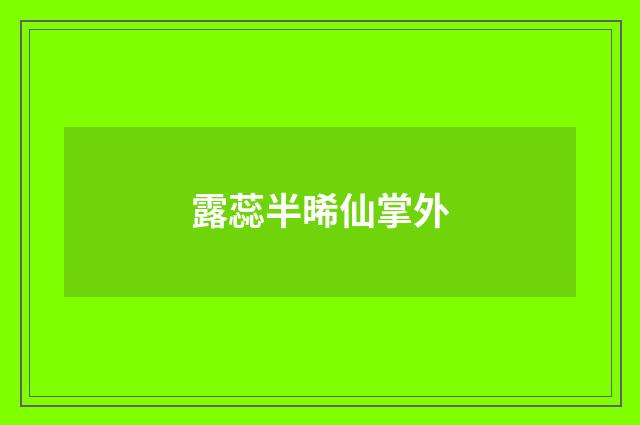 露蕊半晞仙掌外