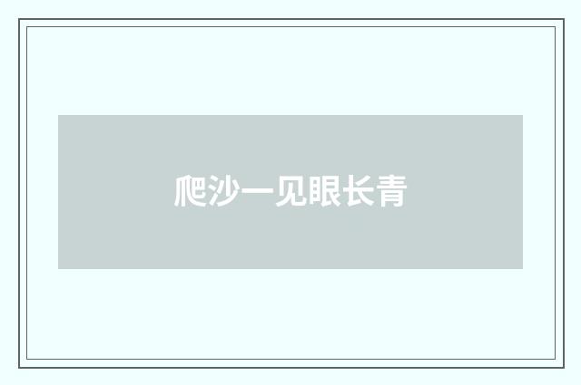 爬沙一见眼长青