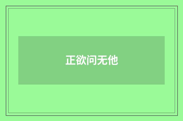 正欲问无他