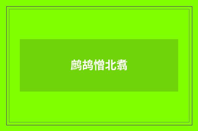 鹧鸪憎北翥