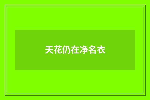天花仍在净名衣