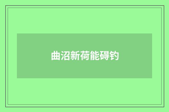 曲沼新荷能碍钓