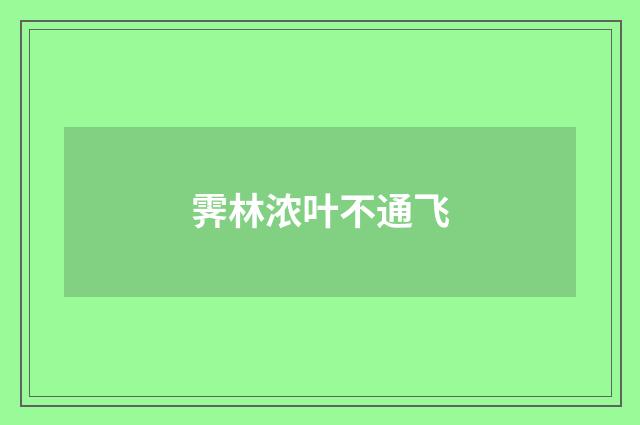 霁林浓叶不通飞