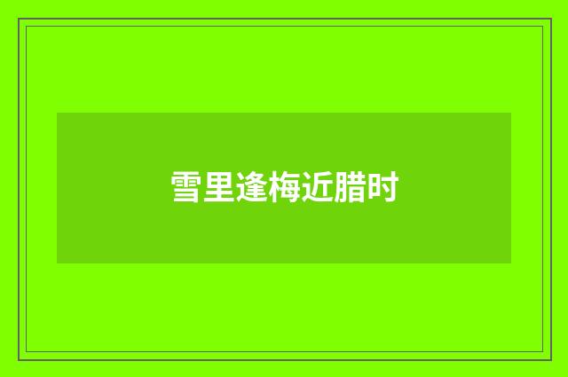 雪里逢梅近腊时