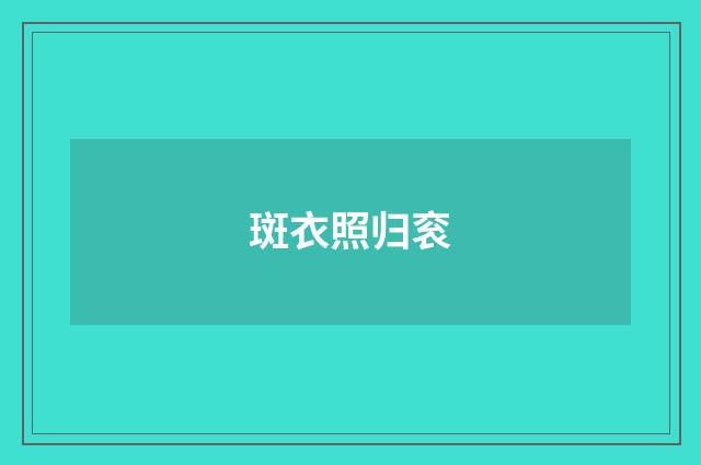 斑衣照归衮
