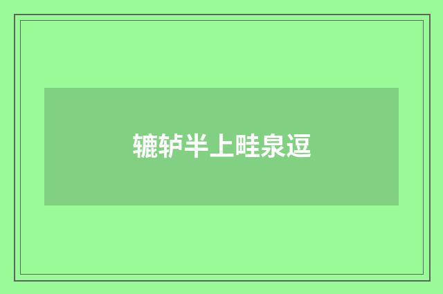 辘轳半上畦泉逗