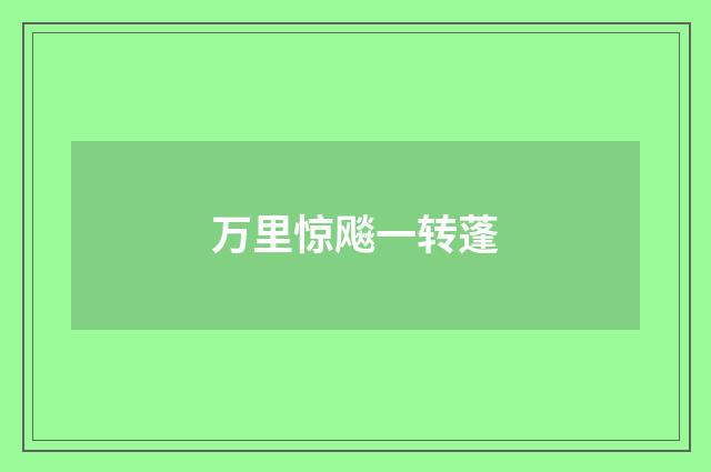 万里惊飚一转蓬