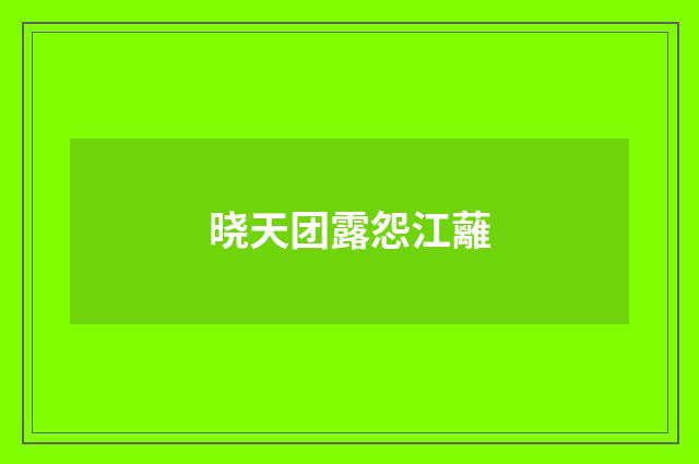晓天团露怨江蘺