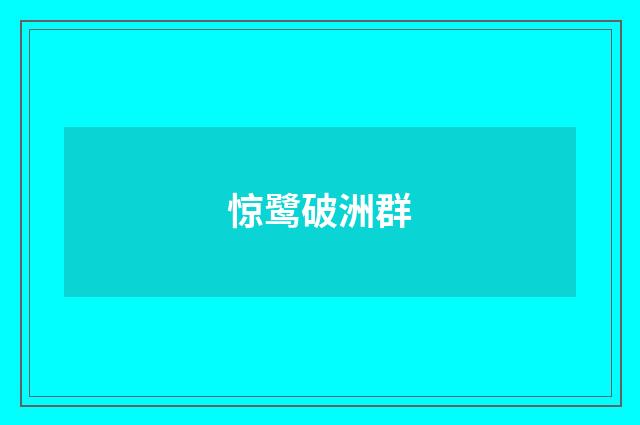 惊鹭破洲群