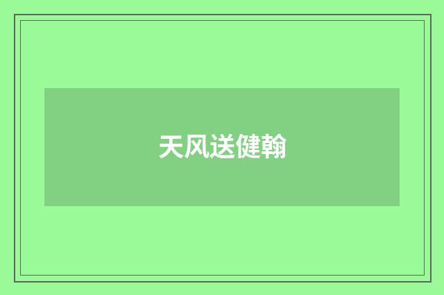 天风送健翰