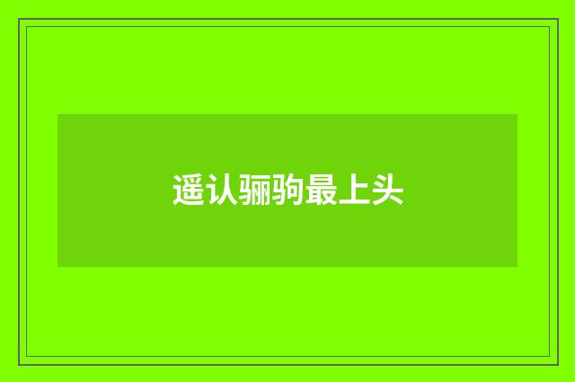 遥认骊驹最上头