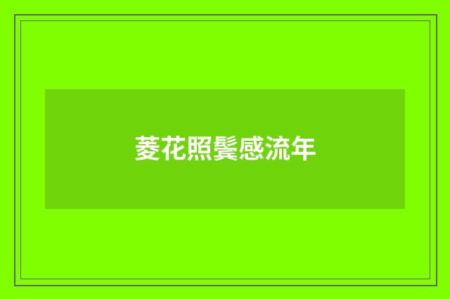 菱花照鬓感流年
