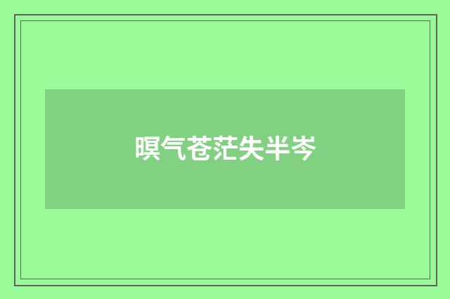 暝气苍茫失半岑