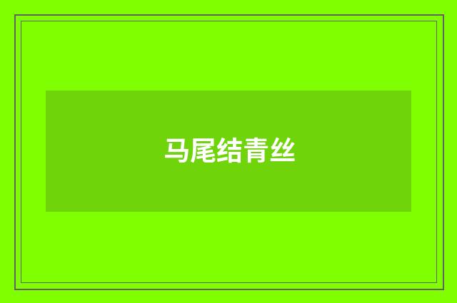 马尾结青丝