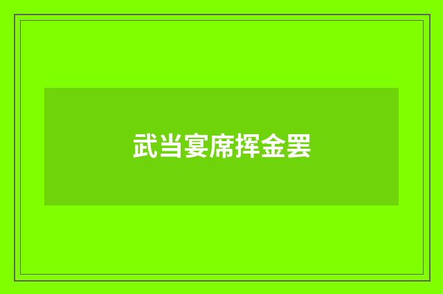 武当宴席挥金罢