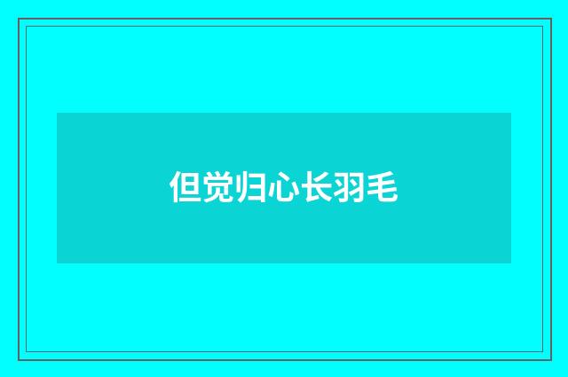 但觉归心长羽毛