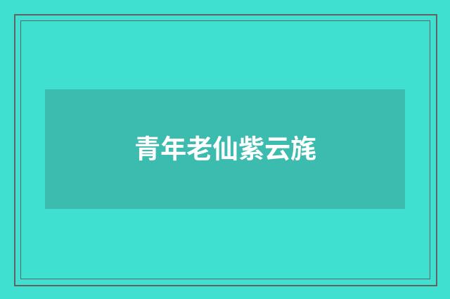 青年老仙紫云旄