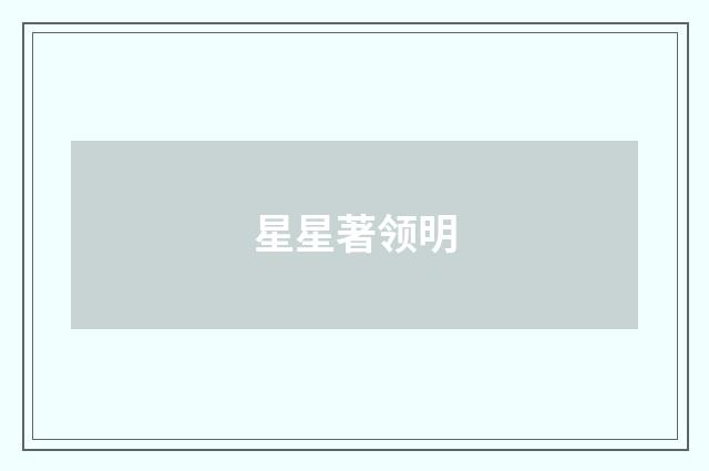 星星著领明